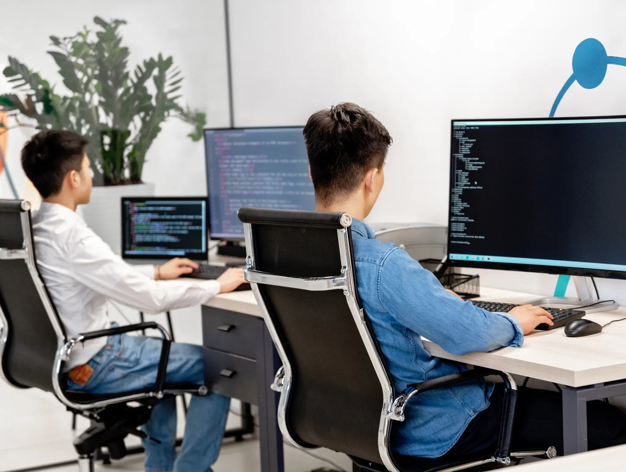 Custom Web Development